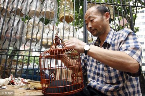 有個村叫「鳥籠村」，鳥籠最高達到15萬元，為何價格如此昂貴呢？ 每日頭條