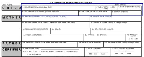 Certificate Of Live Birth Template