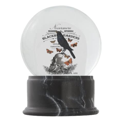 modern vintage halloween crow and skull snow globe | Zazzle