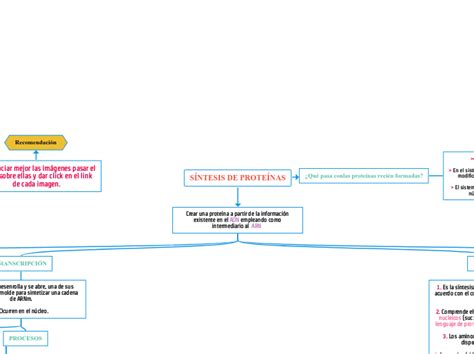 SÍNTESIS DE PROTEÍNAS Mind Map