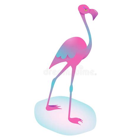 Cute Paradise Bird Cartoon Stock Illustrations Cute Paradise