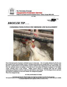 Considerations In Poultry Drinker Line Management Uga Poultry House