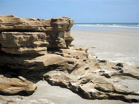 Washington Oaks Gardens, Flagler County: Beach with fantastic rocks ...