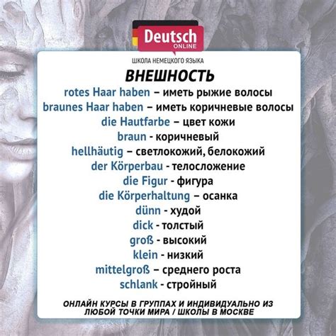 Немецкий язык | Немецкий язык, Немецкий, Немецкие слова