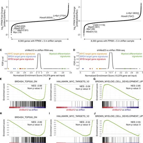 MED12 And MED23 Are Required To Sustain Expression Of BRD4 MYC And