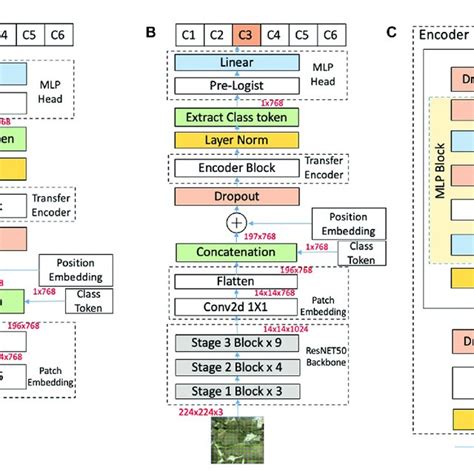 An overview of Vision Transformer architecture: (A) FaciesViT, (B) the ...