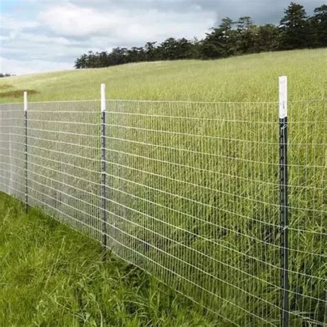 Wire Mesh Holland Euro Fence Large Animal Farm Fence Electrified Fence