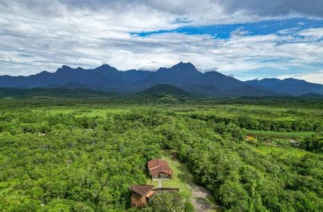 Parceria Apoia Conserva O Da Biodiversidade Em Reas De Mata Atl Ntica