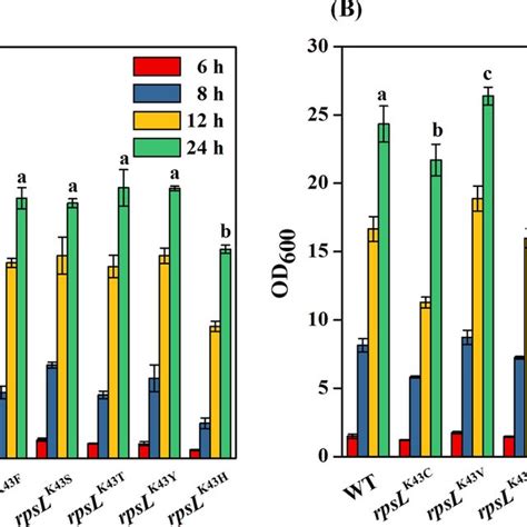 Analysis Of Cell Growth Of C Glutamicum Rpsl K Mutants In Bhi Medium