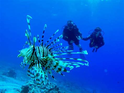 Diving in Hurghada - Red Sea Happy Tours