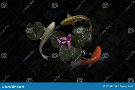 Koi Fish Pond With Lotus Flowers Stock Photo Image Of Japan Colorful