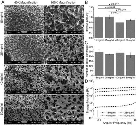 Figure 3 From Culturing Fibroblasts In 3D Human Hair Keratin Hydrogels