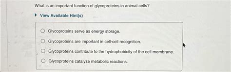 Solved What is an important function of glycoproteins in | Chegg.com