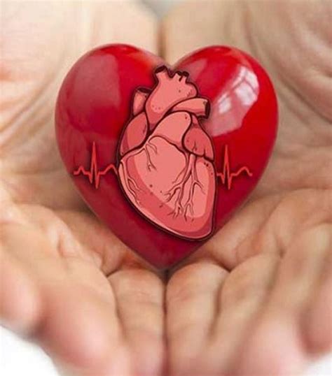 World Heart Day இதயமே இதயமே உலக இதய தினம் இன்று சில டிப்ஸ்