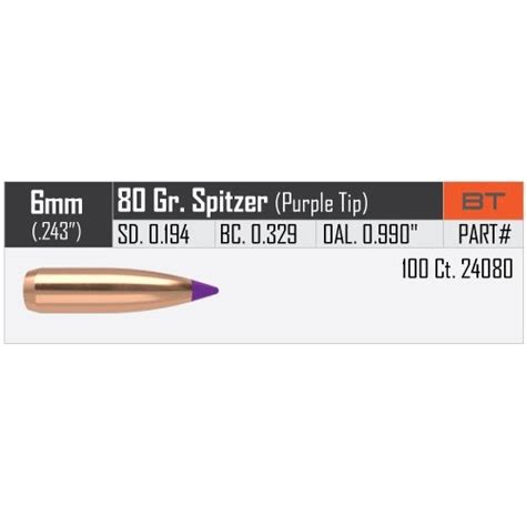 Nosler Ballistic Tip Varmint Mm Caliber Gr Spitzer Purple Tip