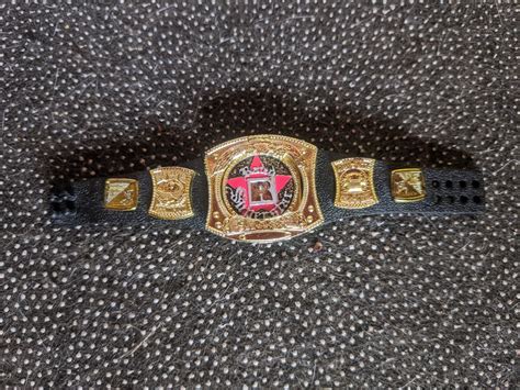 WWE MATTEL RATED R SPINNER BELT FOR FIGURES on Carousell