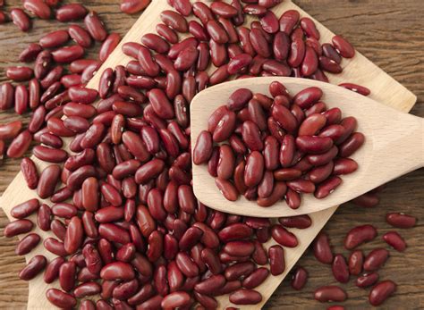 14 Beans With The Highest Amount Of Protein