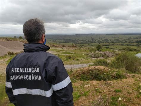 Afagro Manifesta Preocupa O A Sa Da De Fiscais Agropecu Rios