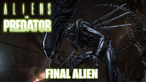 Aliens Vs Predator El Juego Campa A Alien Parte Final Youtube