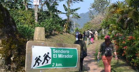 Así Será La Ruta Del Café Cubano Nueva Atracción Turística De Santiago