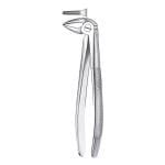 33 1 2 Forceps Raices Inferior Dental Shop Discount