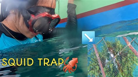 SQUID TRAP SINISID NAMIN ANG BOBO NG PUSIT Part 1 YouTube