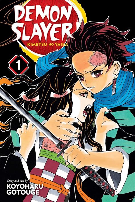 Amazon.com: Demon Slayer: Kimetsu no Yaiba, Vol. 1 (1): 9781974700523 ...