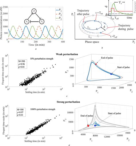 Dominant Floquet Multiplier As A Measure Of Robustness To Pulse