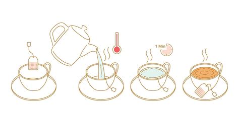 Instruction How To Brewing Tea Bag Outline Doodle Hand Drawn Vector