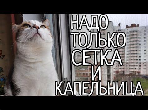МОСКИТНАЯ СЕТКА СВОИМИ РУКАМИ БЕЗ РАМКИ-10 МИНУТ И ГОТОВО+НОЛЬ РУБЛЕЙ ...