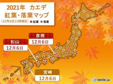 彦根と松山でカエデが紅葉 長崎からはイチョウ黄葉の便り 2021年12月6日 エキサイトニュース