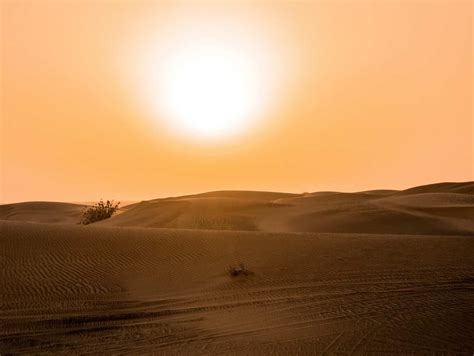 Summer in Dubai: How hot does it really get? | Time Out Dubai