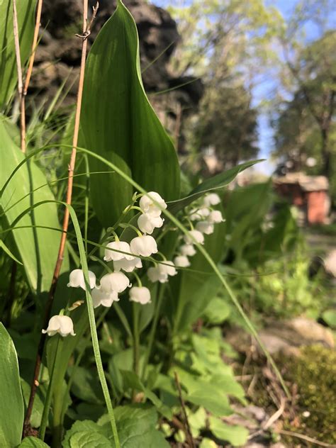 Lykke Communities - New Ulm, MN | New Ulm MN