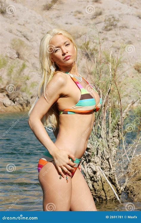 Reizvolle Frau im Bikini stockbild Bild von schön erotisch 2691781