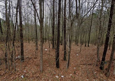 Over 5 Acres on Paved Road! Rare- Over 5 Acres on Paved Road