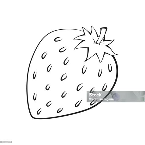 Illustration Of Strawberry Vector Illustration Stock Illustration