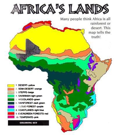 The Savannah Africa Map - Danice Doralynne