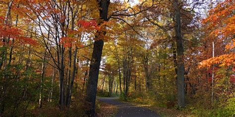 Fall Trail Tips - Circuit Trails