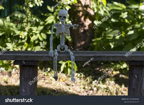 Skeleton Sitting On Bench Celebrating Halloween Stock Photo 2209908965 | Shutterstock