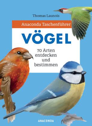 Anaconda Taschenführer Vögel 70 Arten bestimmen und entdecken