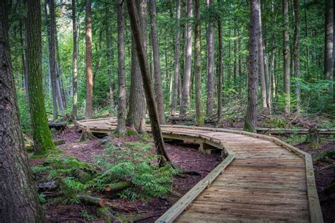 New Trails; New Adventures - The Leelanau Conservancy