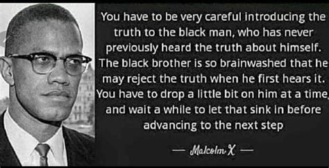 Pin By Eugene Sims II On MALCOLM X In 2021 Brainwashing Malcolm X Truth