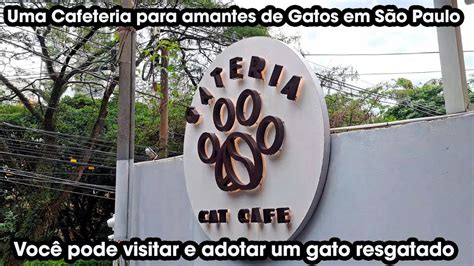 Gateria Cat Caf Uma Cafeteria Muito Diferente Em S O Paulo Pros