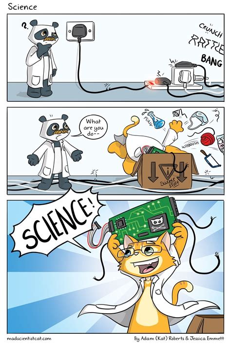 Science - Mad Scientist CatMad Scientist Cat