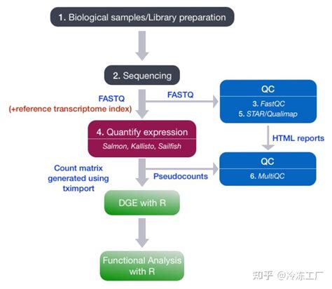 Rna Seq