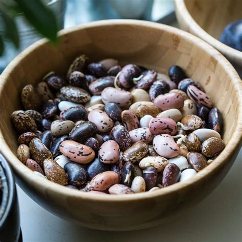 top 14 vegan iron sources | peta2