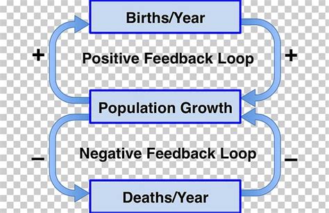 Negative Feedback Positive Feedback Homeostasis Biology PNG, Clipart, Anatomy, Angle, Area ...