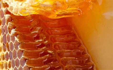 Download Close Up Of Honeycomb With Honey