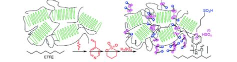 Schematic Representation Of The Preparation Of Supported Dual Acidic Download Scientific