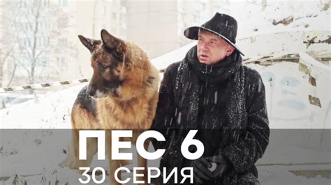 Сериал Пес 6 сезон 1 серия - смотреть онлайн | Серіали ICTV